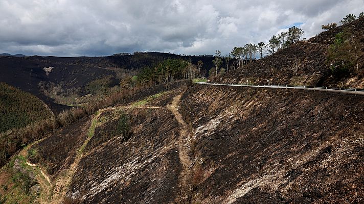 Telediario en lengua de signos - Telediario - 21 horas - 01/04/23 - Lengua de signos