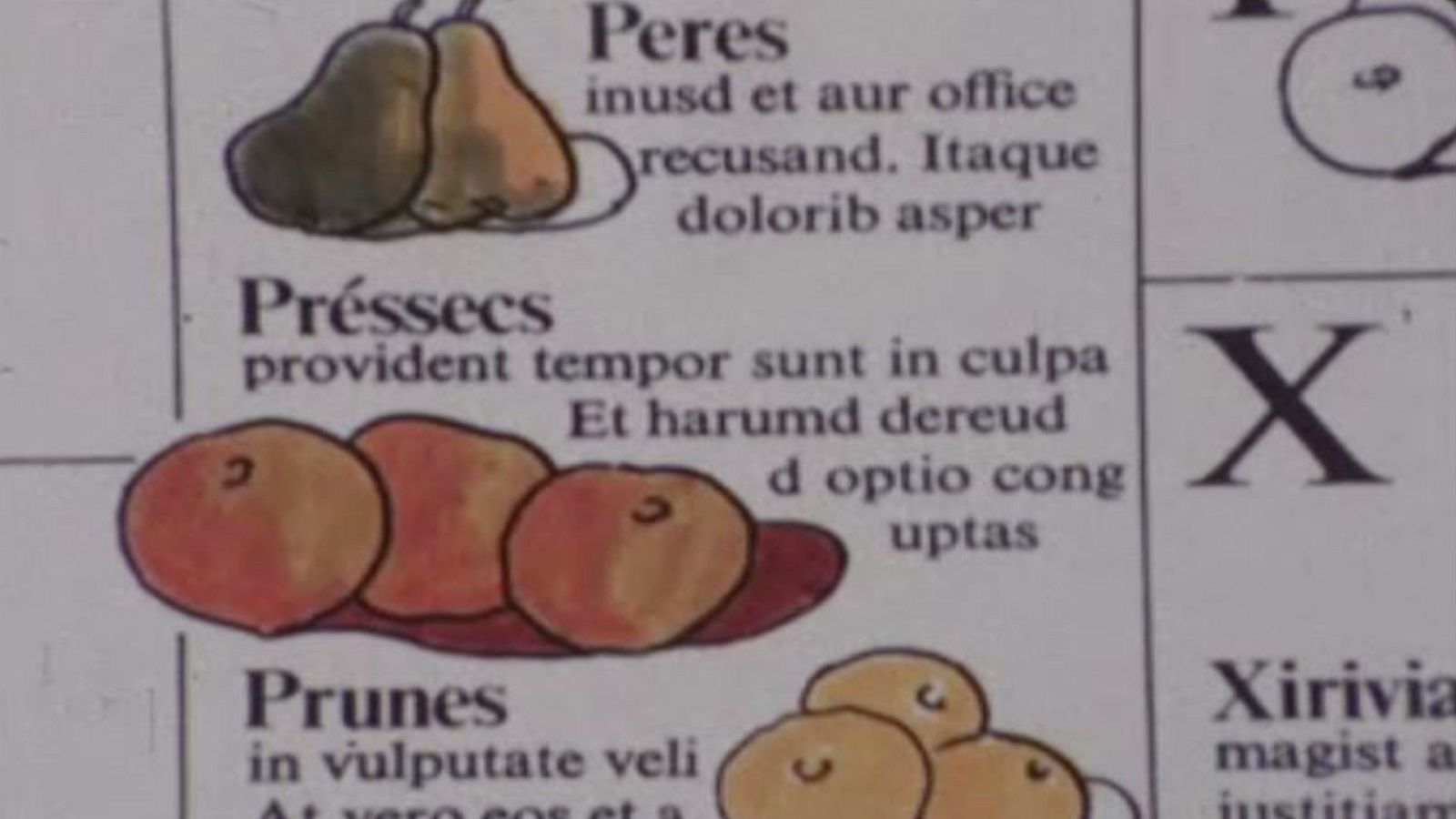 Arxiu TVE Catalunya - Art Flash - Miquel Strubell i la nova campanya pel català des dels ajuntaments