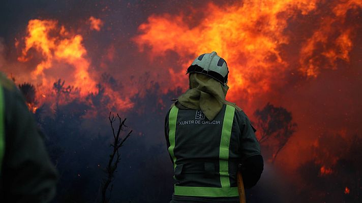 Telediario 1 - El ser humano, la principal causa de los incendios forestales