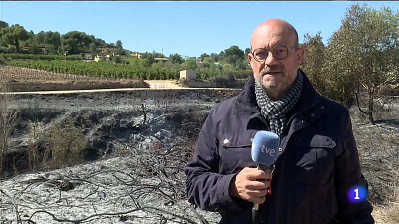 Seis incendios forestales en un solo día en la Comunitat Valenciana