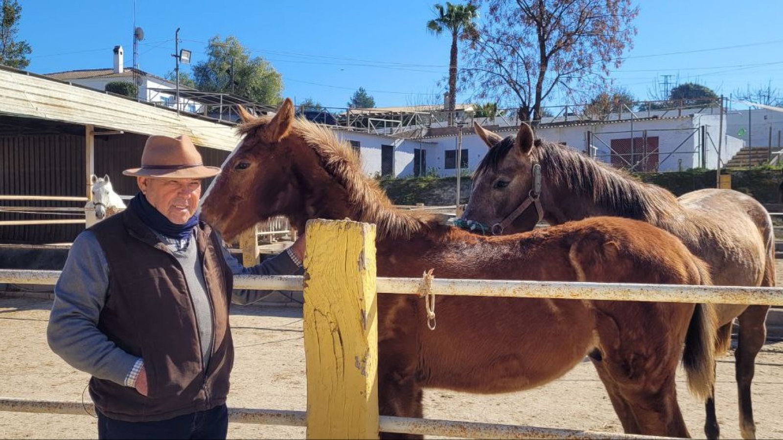 Francisco Domínguez, criador de caballos | Ver