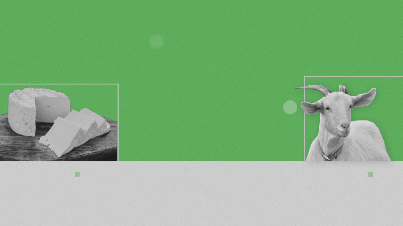 Crisis caprino de leche en Andalucía - Ver ahora