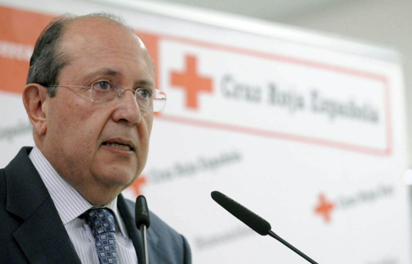 La Cruz Roja ha recaudado de los ciudadanos españoles más de 26 millones de euros para Haití | Ver