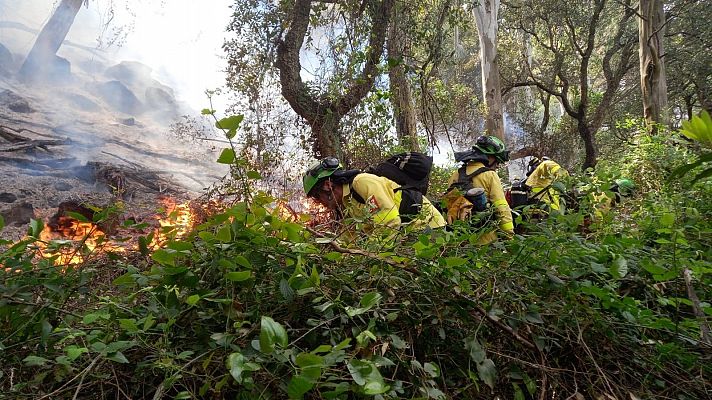 Estabilizado el incendio de Tarifa, Cádiz