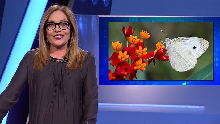 Saber y ganar - Saber y ganar. Edición de fin de semana - 09/04/23