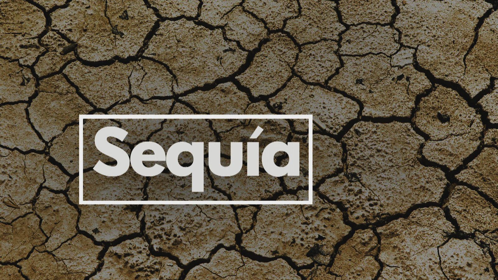 Se agrava la sequía en Andalucía