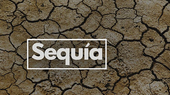 Noticias Andalucía - Se agrava la sequía en Andalucía