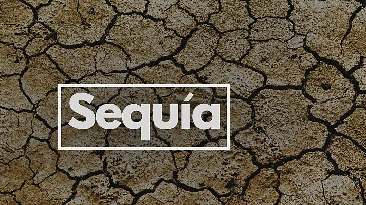 Se agrava la sequía en Andalucía