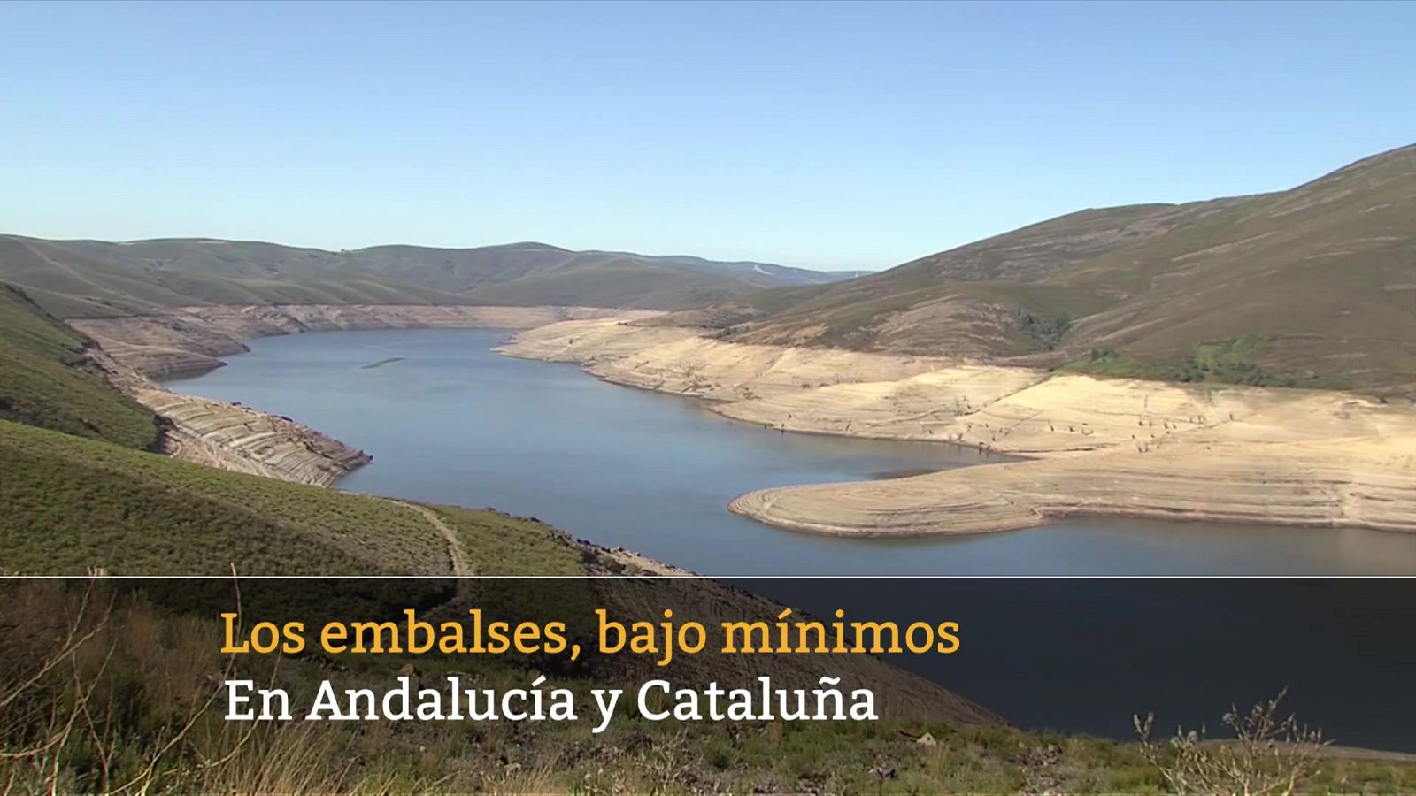 La tarde en 24 horas - 11/04/23 - ver ahora