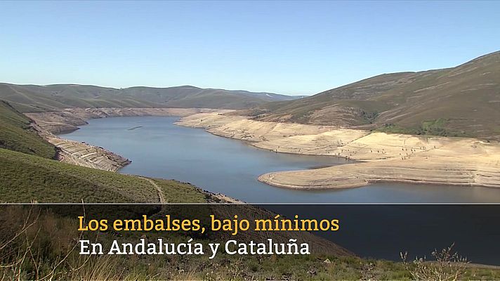 La tarde en 24h - La tarde en 24 horas - 11/04/23