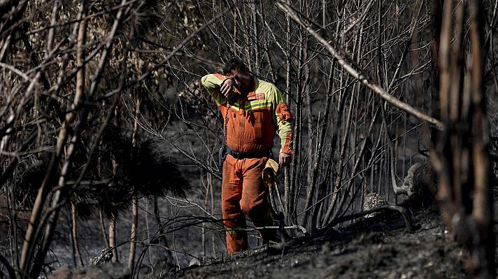 Telediario Matinal - Telediario Matinal en Cuatro Minutos 12/04/2023