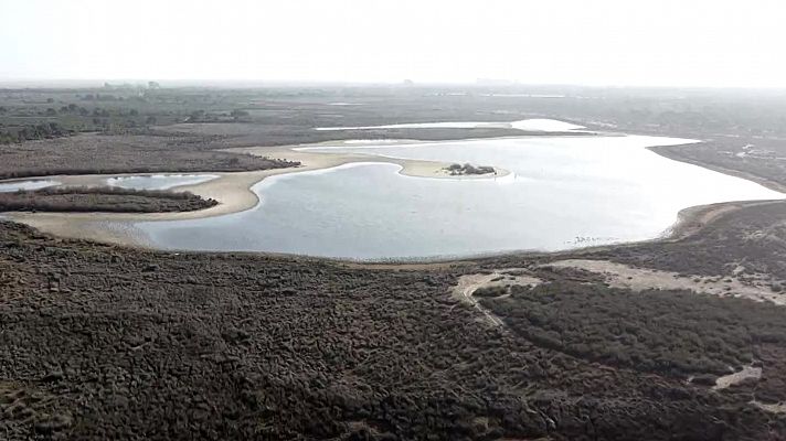 Diario 24 - Diario 24 - 12/04/23