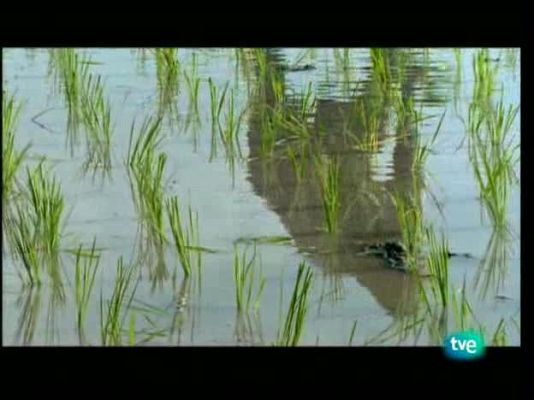 Agua, la gota de la vida - Agua