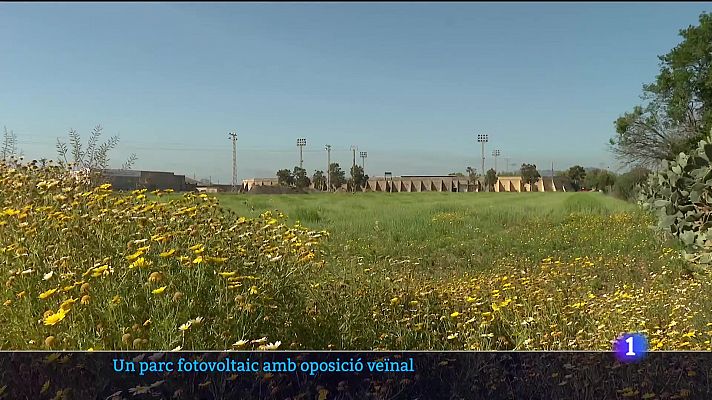 Un parc fotovoltaic amb oposició veïnal