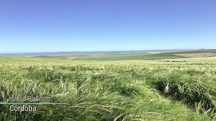 El tiempo - Intervalos de viento fuerte en la costa noroeste de Galicia, Cantábrico, litoral de Granada y Almería, valle del Ebro, Ampurdán y Canarias