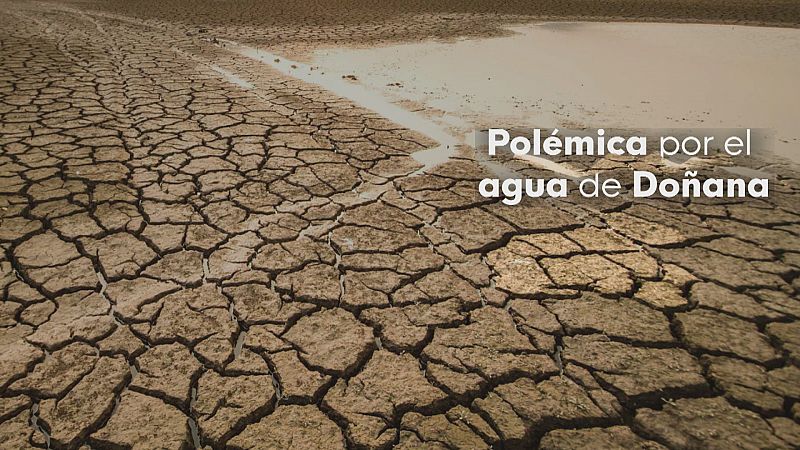 Polémica por el agua en Doñana - Ver ahora