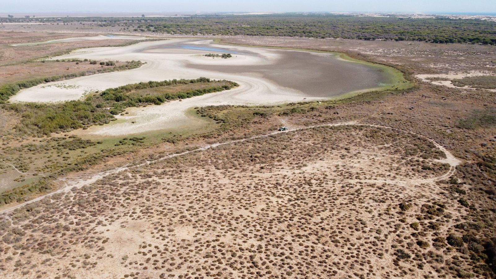 Choque entre la Junta y el Gobierno por los regadíos de Doñana