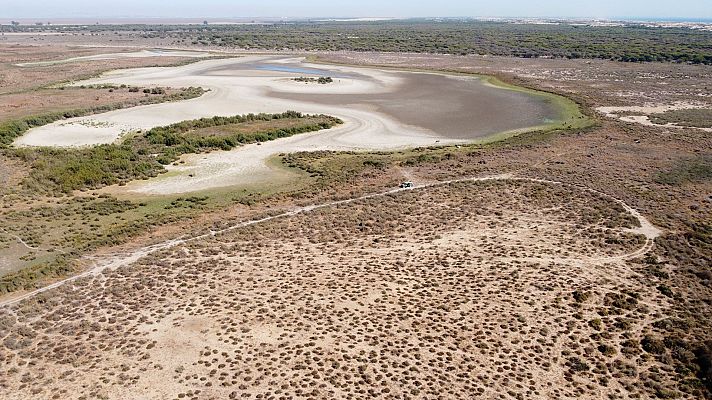 La proposición de ley para ampliar los regadíos de Doñana provoca un choque entre la Junta y el Gobierno