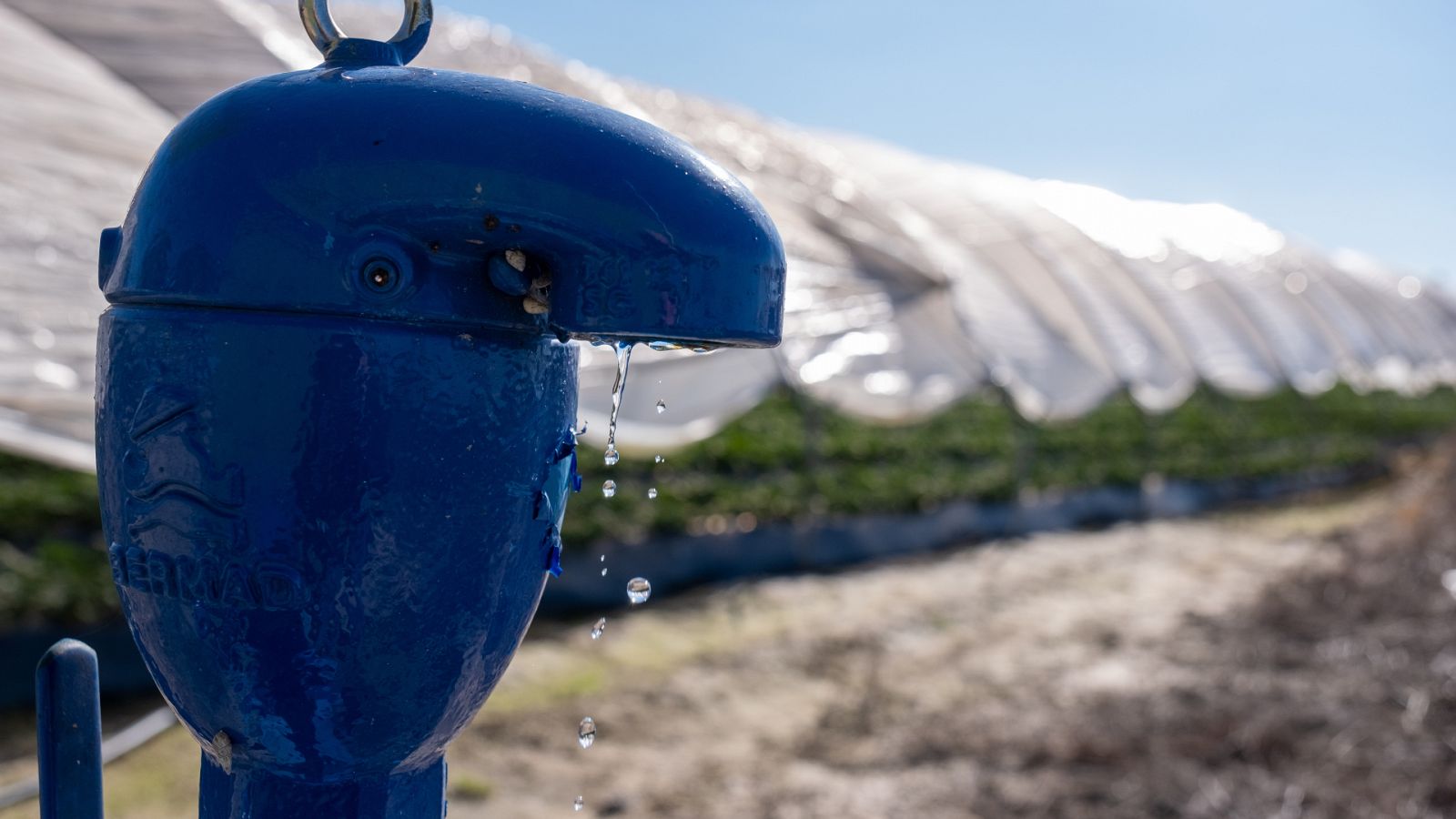 Doñana, en estado crítico por la sobreexplotación de los acuíferos y la falta de lluvias