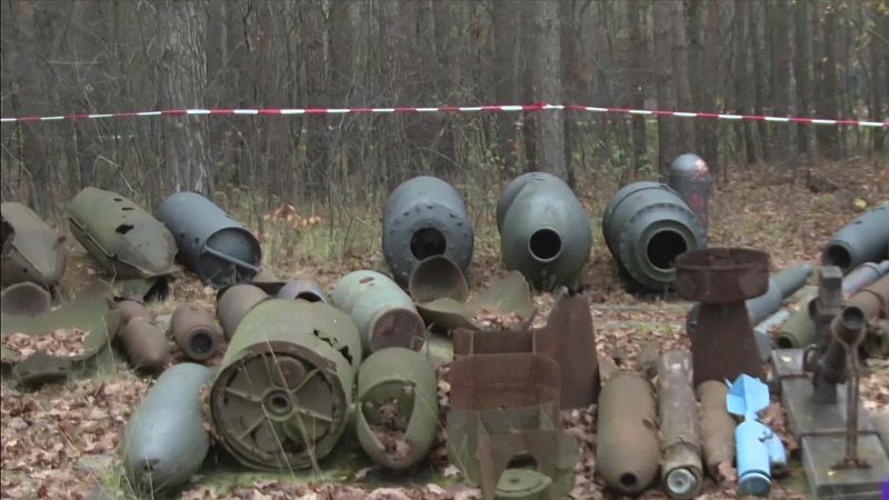Miles de bombas de la Segunda Guerra Mundial siguen enterradas en Alemania