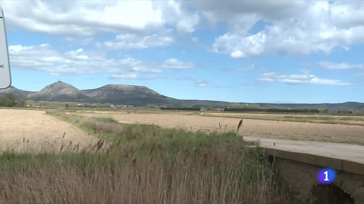 L'Informatiu - L'arròs de Pals, sota mínims