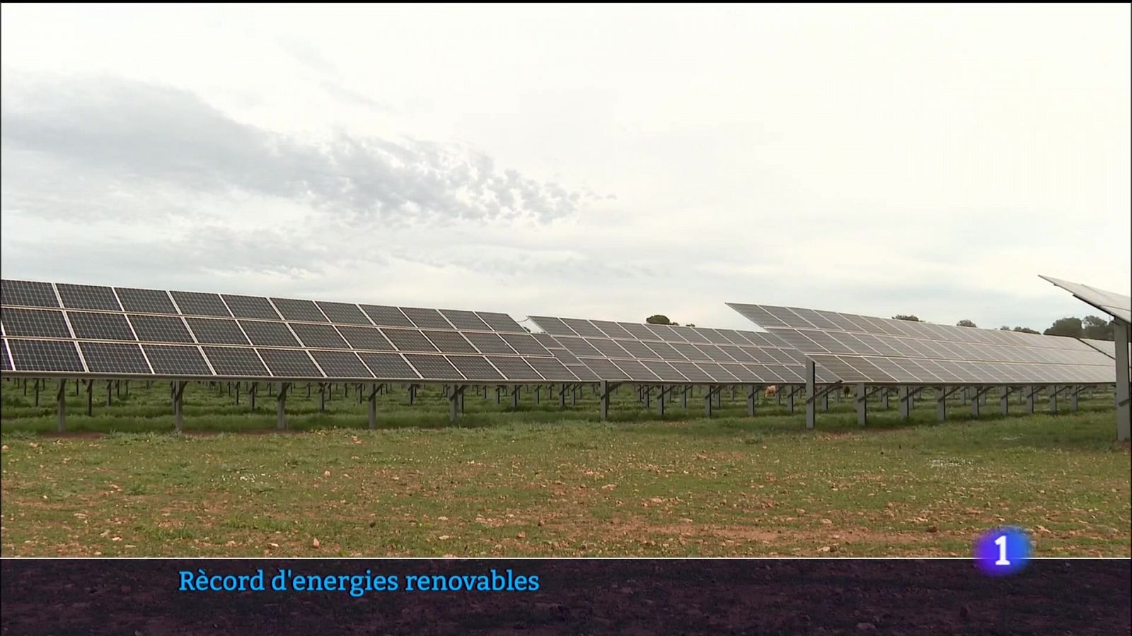 Rècord d'energies renovables - 13/04/23 - Veure ara