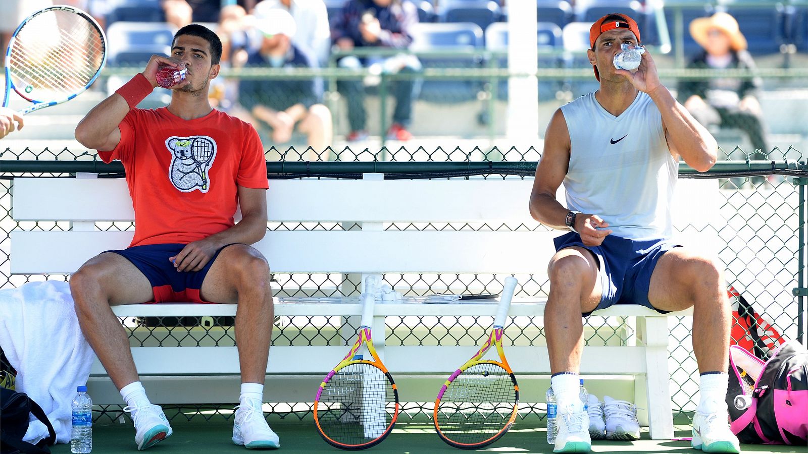 Alcaraz jugará como número 2 en Barcelona; Nadal casi descartado para el Godó    