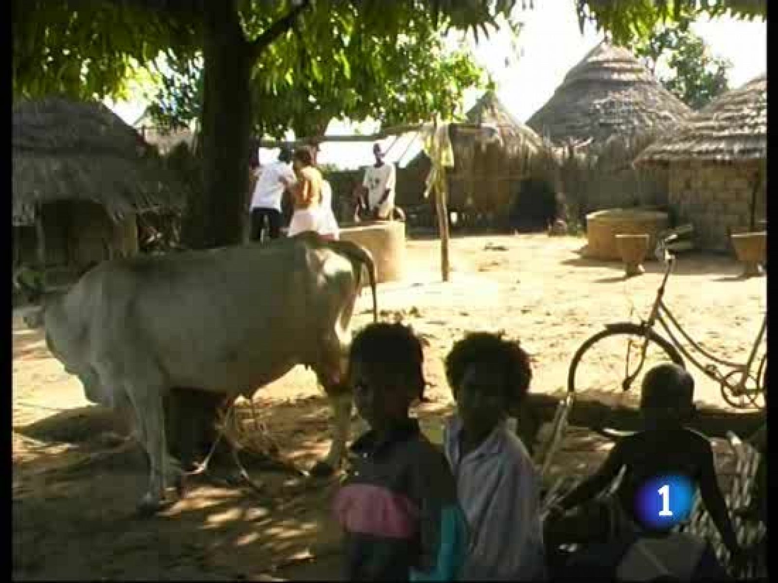 Cataluña es pionera en aplicar un protocolo para evitar la mutilación genital. - Ciencia y tecnología en Rtve.es | Ver