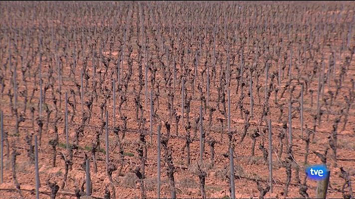 L'informatiu - Comunitat Valenciana - L'Informatiu Comunitat Valenciana 1 - 14/04/23