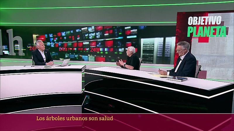 Objetivo Planeta - Los �rboles urbanos son salud - ver ahora