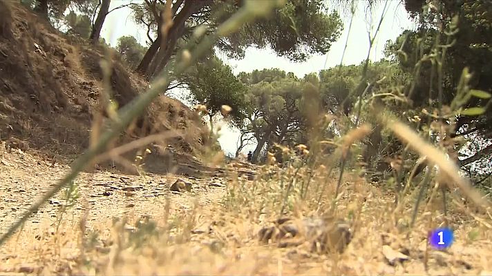 L'Informatiu - Ajornada la reobertura de Sant Miquel del Fai