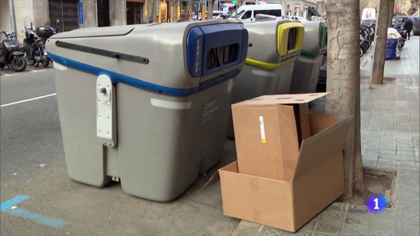 La compra por internet incrementa el consumo de cartón -Ver ahora