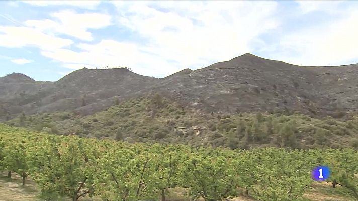 L'Informatiu - L'Informatiu - 16/04/2023