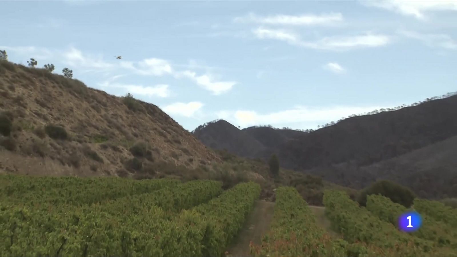 L'incendi de la Franja, en vies de control