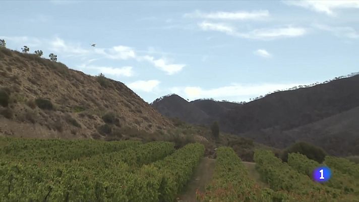 L'Informatiu - L'incendi de la Franja, en vies de control