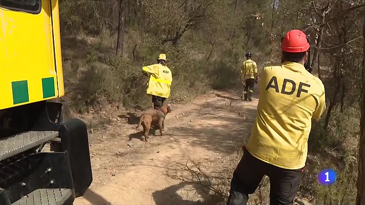 L'Informatiu - Les ADF, primera línia d'atac contra el foc