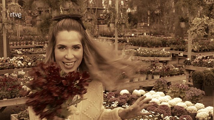 Va de verd - El llenguatge de les flors