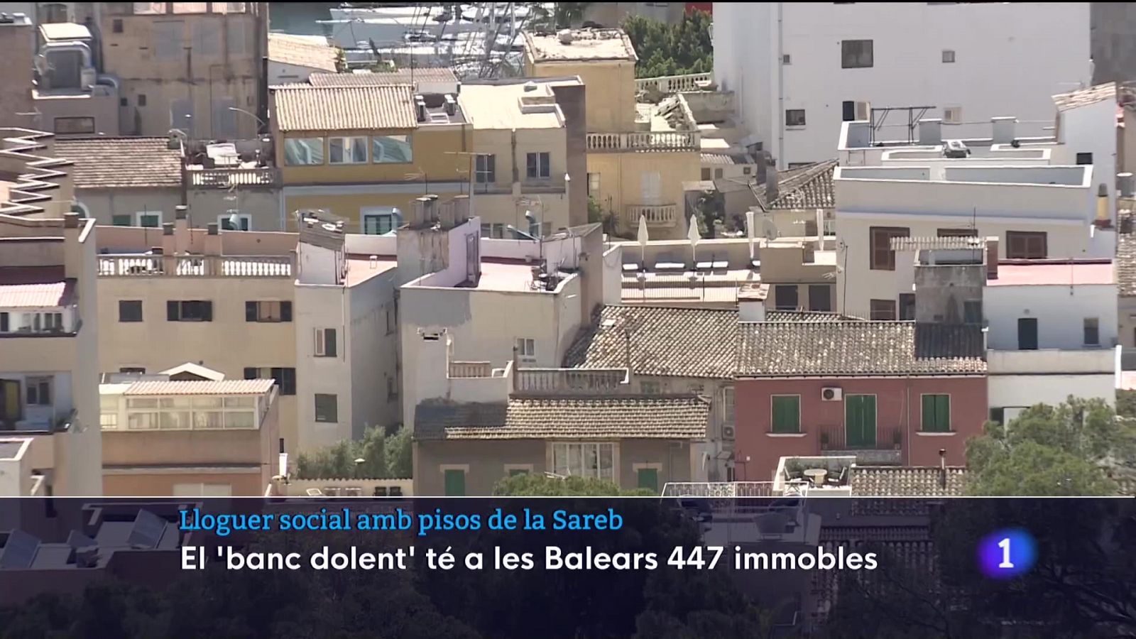 Lloguer social amb pisos de la Sareb - 17/04/23 - Veure ara