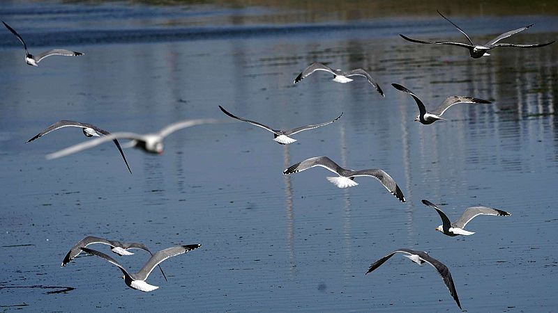 Los cielos permanecen en general despejados, temperaturas sin grandes cambios