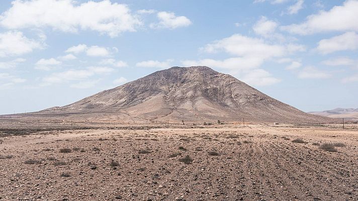 La sequía ahoga el campo:¿qué zonas y cultivos están más afectados?