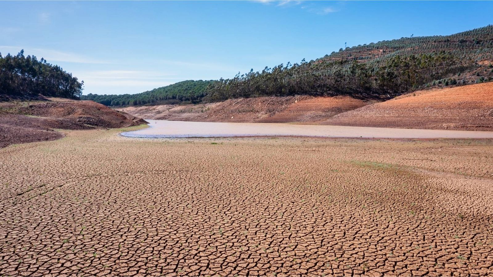Se agrava la sequía en España: los embalses se mantienen bajo mínimos y los agricultores ven peligrar sus cosechas