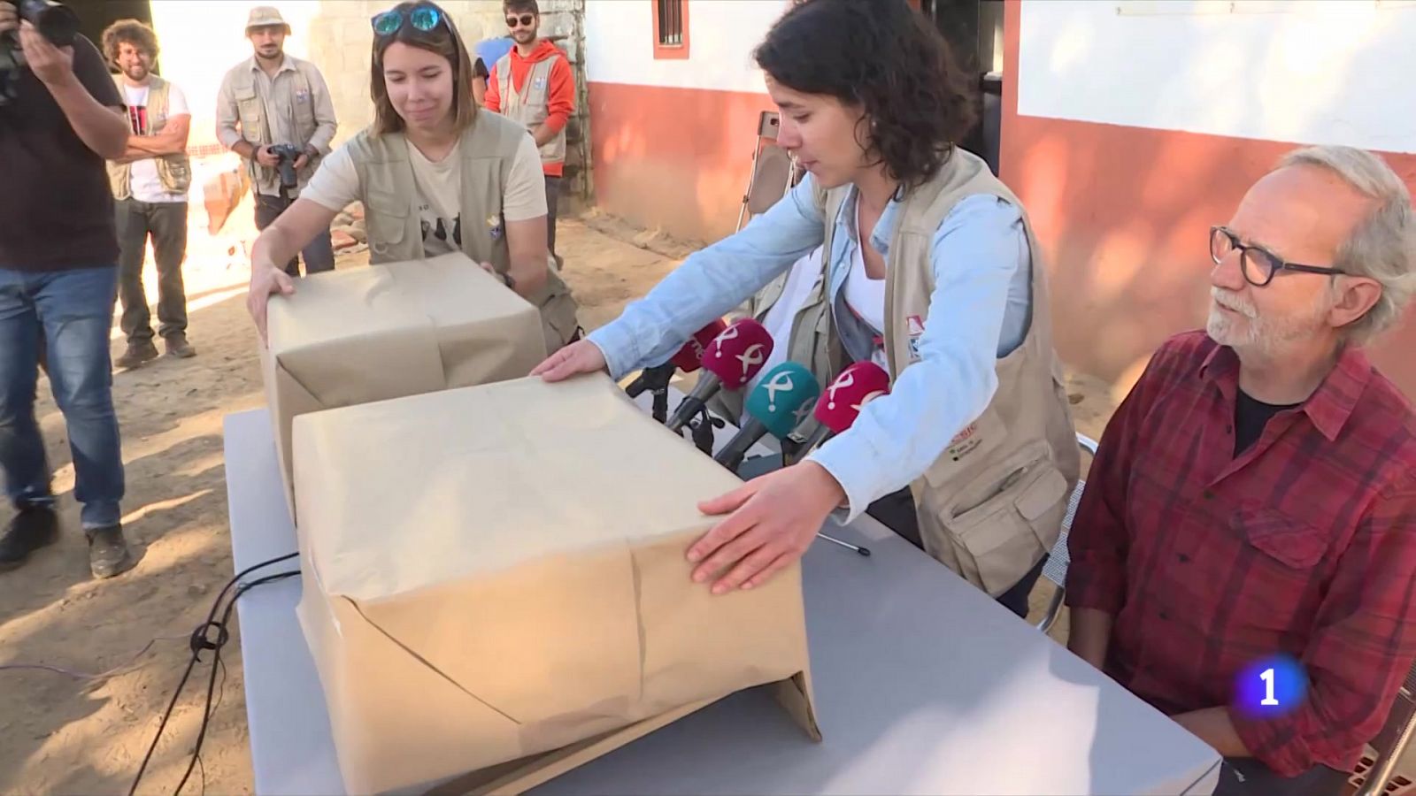 Encuentran en un yacimiento de Badajoz las primeras representaciones humanas de Tartessos | Ver