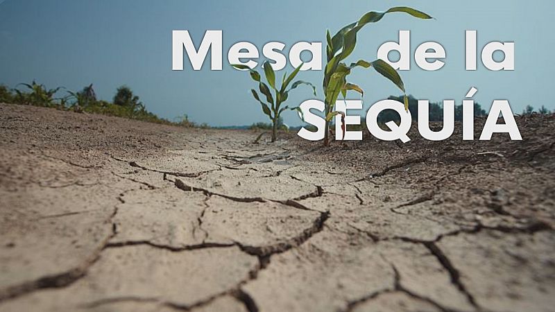 La Junta de Andalucía aprobará tercer decreto de sequía - Ver ahora