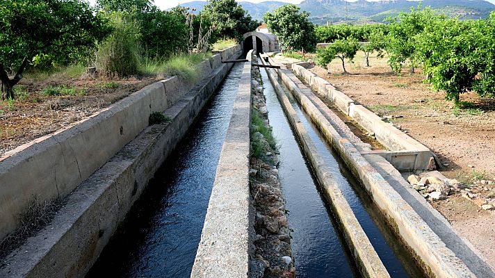 Riegos de emergencia para salvar los cultivos: si no llueve, podrían no tener agua para todo el ciclo