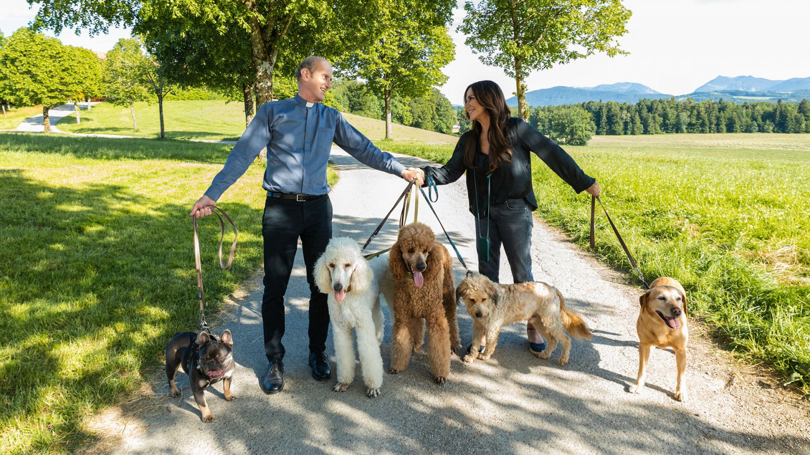 Sesión de tarde - Fruhling: Día de perros - Ver ahora