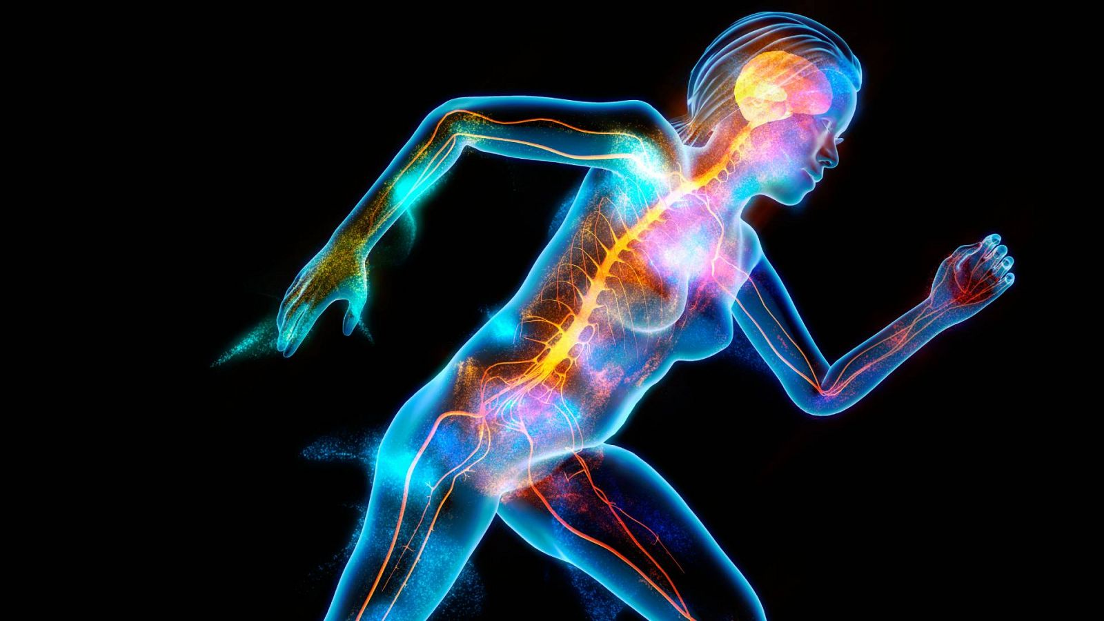 Descubren un "vinculo literal" entre cuerpo y mente en el cerebro