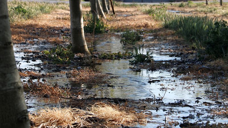 La sequera obliga a tancar el canal d'Urgell