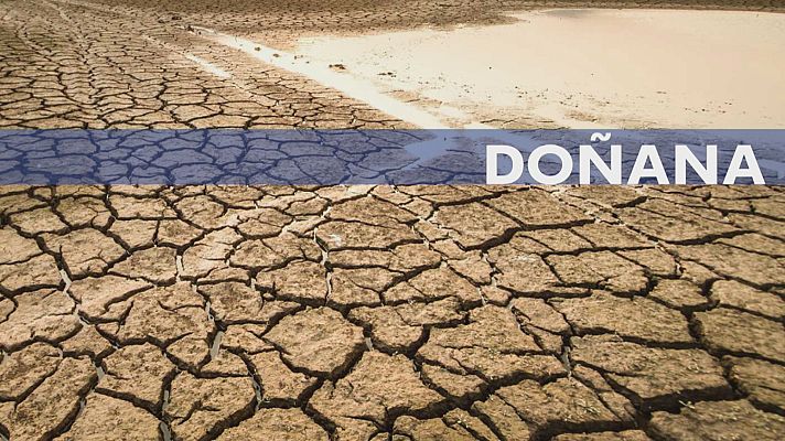 Noticias Andalucía - Pedro Sánchez en Doñana