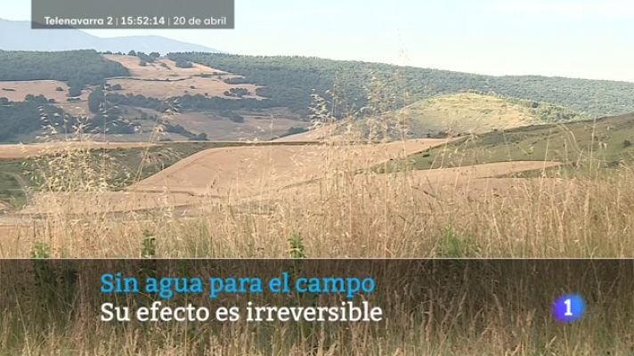 Telenavarra - Telenavarra 2 -20/4/2023