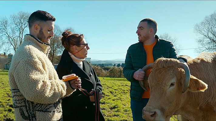 Brigada Tech - Llegan las vacas digitales gracias a RUMI